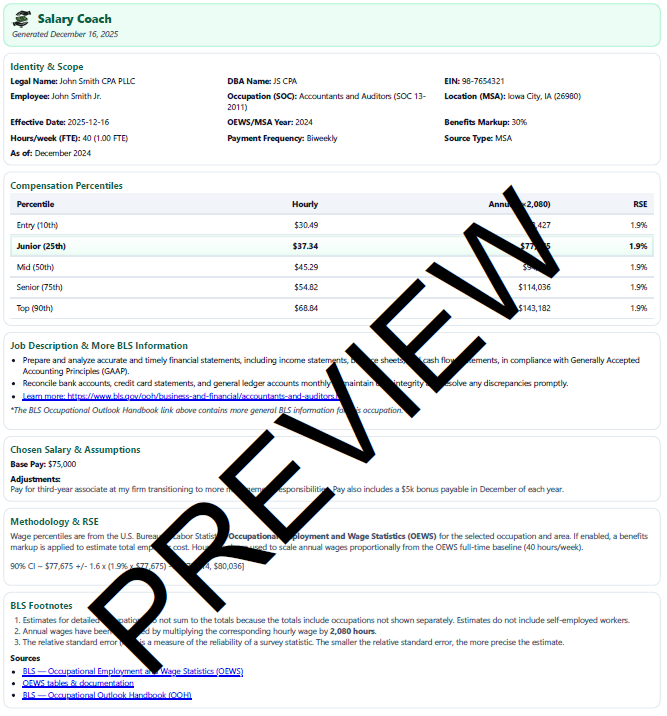 CPA owner (professional services) page 1